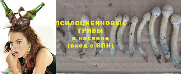 2c-b Киренск