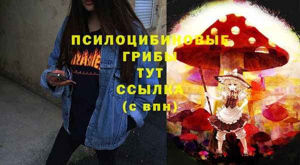 дживик Кинешма