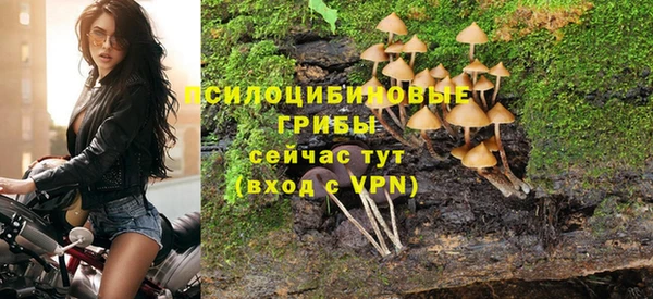 spice Киреевск