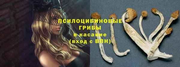 2c-b Киренск