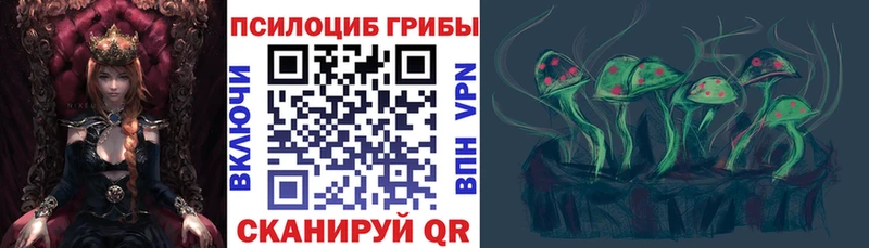 KRAKEN ТОР  Купино  Псилоцибиновые грибы Magic Shrooms 